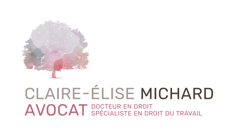 Claire-Elise MICHARD AVOCAT